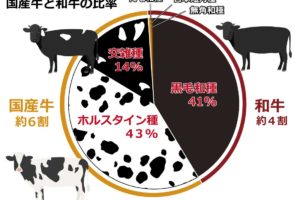 和牛と国産牛の生産の割合